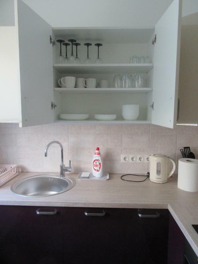 Family Apartment รีกา ภายนอก รูปภาพ